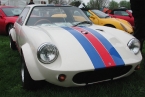 Cox GTM Coupe front