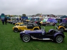 Tigers on show at Stoneleigh