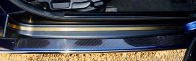 1 anodised stainless kickplate insert.jpg