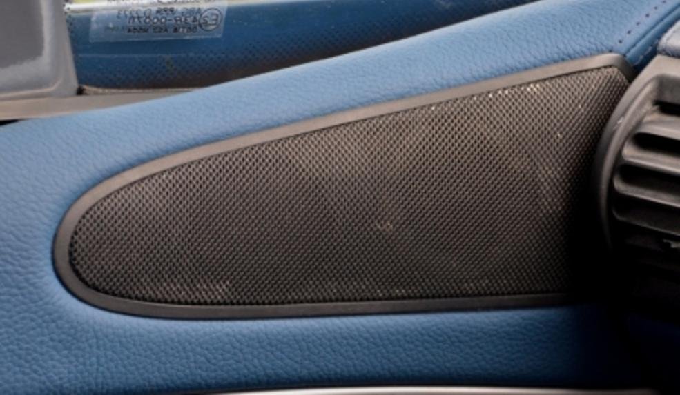 36 L door speaker.jpg