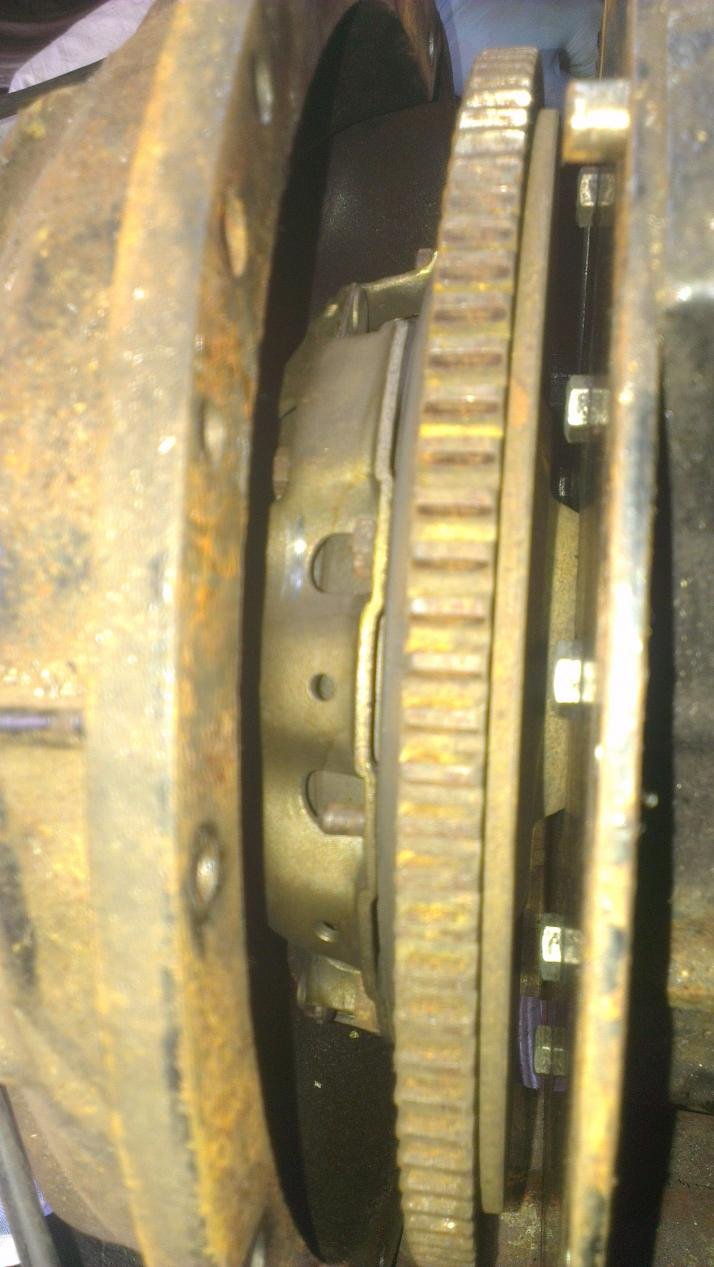 IMAG0793.jpg