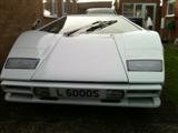 L5000S part2 118 (Custom).JPG