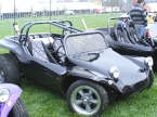 Stealthy look to this buggy