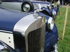 Royale Motor Company - Royale Windsor. Grilles and ornaments